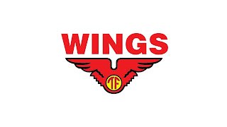 Lowongan Kerja Wings Group Juni 2025, Terbuka untuk S1 dan SMA/SMK