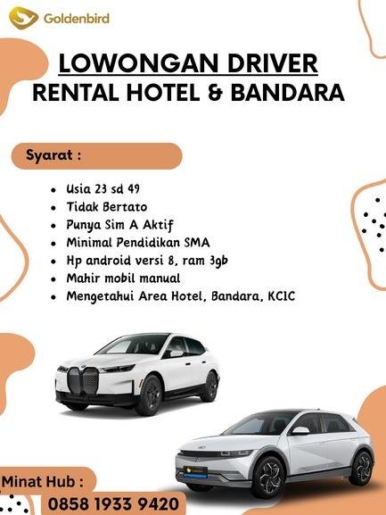 Rental Goldenbird