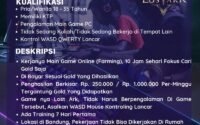Depo Gamer