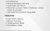 PT. Indo Junior Group