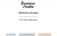 Remine Studio