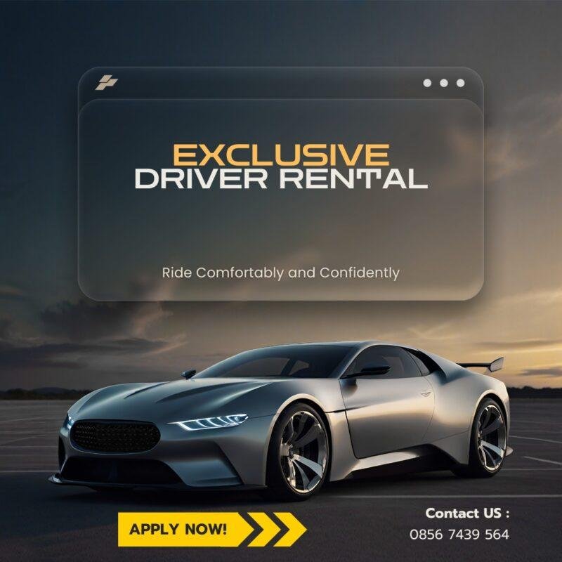 Rental Goldenbird