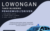 Blue Bird Pool Galaxy