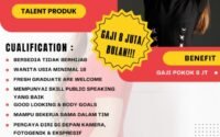Alfa Media