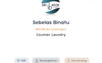 Sebelas Binatu