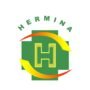 Open Recruitment RS Hermina OPI Jakabaring