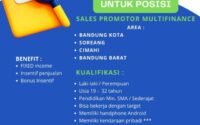 PT. Pelangi Fortuna Global