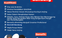 PT. Faunafella Grup Indonesia