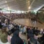 Taman Safari Balas Kejaran Penyelundupan dan Kekerasan Terhadap Pemain Sirkus