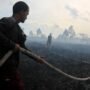 KLH Laporkan Penurunan Drastis: Hanya 142 Titik Api Karhutla Januari-April 2025