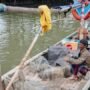 Nelayan Geram, Ahli IPB Ungkap dampak Pergantian Iklim pada Stok Ikan Osean