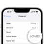 Cek Kode iPhone iBox: Pentingnya Tahu Sebelum Beli iPhone Resmi
