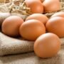 Membuat Telur Memantul: Eksperimen Sains Seru di Dapur