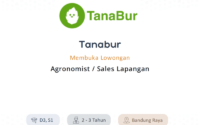 Tanabur
