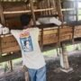 Bhabinkamtibmas Desa Prasung: Mengubah Ternak Kambing menjadi Jawaban untuk Swasembada Pangan