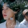 5 Lagu Tema "The Red Envelope", Film Thailand yang Gagal Tayang di Indonesia