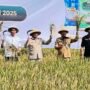 Pramono Berhasil Panen Padi di Karawang, Luncurkan Kerjasama "Contract Farming"