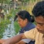 Saluran Irigasi Rusak, 25 Hektar Sawah di Locoboco Ende Menghadapi Ancaman Kekeringan