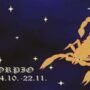 Prediksi Zodiak Minggu Depan: Aries Naik Karir, Scorpio Waspadai Cinta