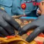 Bea Cukai dan BNN Hentikan Penyebaran Ganja di Luwu Timur
