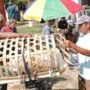 Penyedia Jasa Ojek Kambing Banyumas Siapkan Acara Unik untuk Hari Raya Idul Adha 1446 H