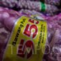 Mengapa Ombudsman Tolak Pembatasan Impor Bawang Putih?