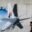 Karir Melambung Setelah Sindiran MH370, Komedian Singapura Enggan Meminta Maaf
