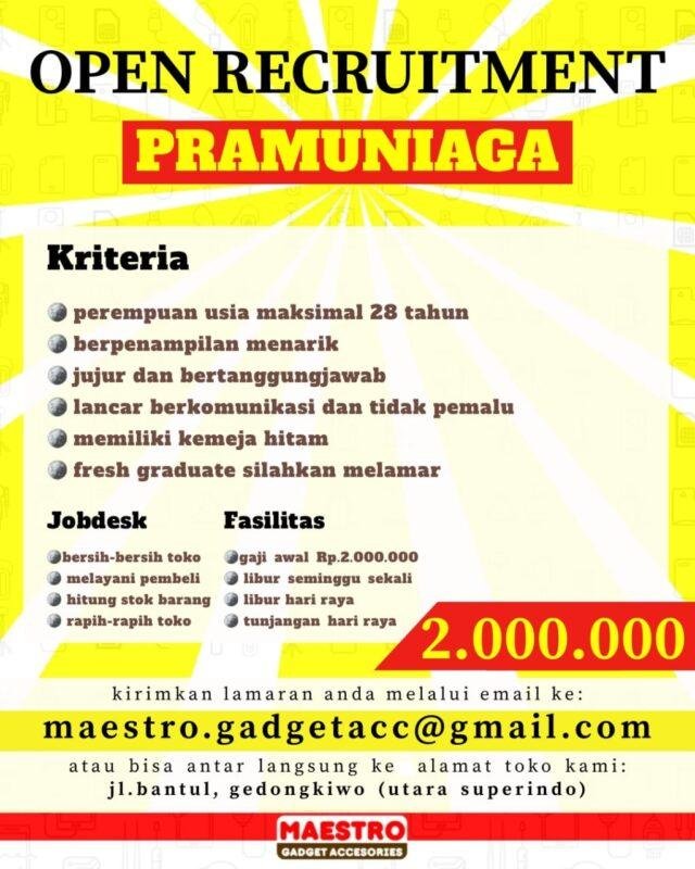 Maestro Gadget Accessories