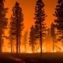 Kebakaran Hutan Hebat di Kanada, Ribuan Warga Dilepaskan dari Bahaya