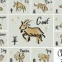 Prediksi Shio Minggu 1 Juni 2025: Keberuntungan bagi Monyet, Ayam, Anjing, dan Babi
