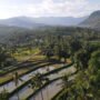 Buleleng Kirim 3 Desa Wisata Unggulan sebagai Perwakilan Bali di Lomba Best Tourism Village
