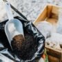 Cara Mudah Buat Kompos dari Sampah Dapur di Rumah Anda