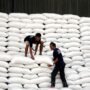 Siap-siap Terima Bantuan Beras 20 Kg! Cek Kualifikasi Penerima Bulan Ini