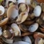 Sambal Ale-Ale Khas Ketapang: Rasakan Kelezatan Pedas dari Pantai Barat Kalimantan, Ingin Tahu Cara Membuatnya?