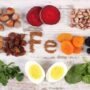 Kekuatan Zat Besi: Mengetahui Peran dan Sumber Nutrisi Terbaik