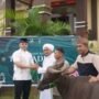 Hari Raya Idul Adha: Polres Kubu Raya Melaksanakan Sembelihan Hewan Kurban