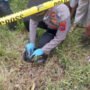 Warga Riau Ditemukan Meninggal di Rerumputan Simalungun, Diduga Akibat Kecelakaan