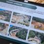 Sejarah Eksplorasi Nikel di Pulau Gag Raja Ampat, Dimulai Belanda pada 1920