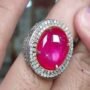 Sensasi Rasa Merah yang Menggoda dengan Harga Terjangkau – Ruby Star Ini Benar-benar Memikat