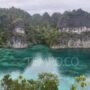 Aspeindo Dorong Cabut Izin Pertambangan Nikel di Raja Ampat