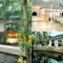 Sleman DIY: Tempat Magis yang Menjanjikan Keindahan Tropikal, Hanya Satu Jam dari Klaten