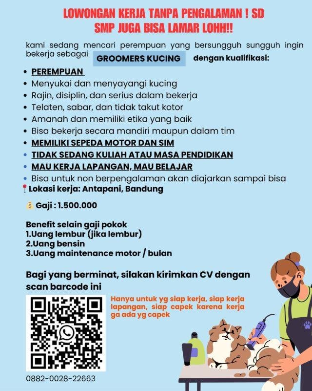 Borgin Pet Care