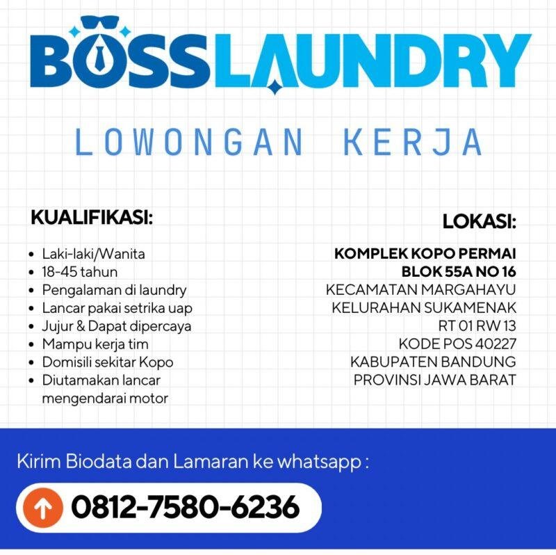 Boss Laundry